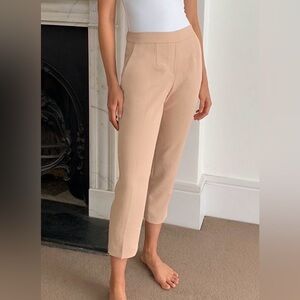 Aritzia Babaton Conan cropped pants